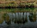 adda (3)